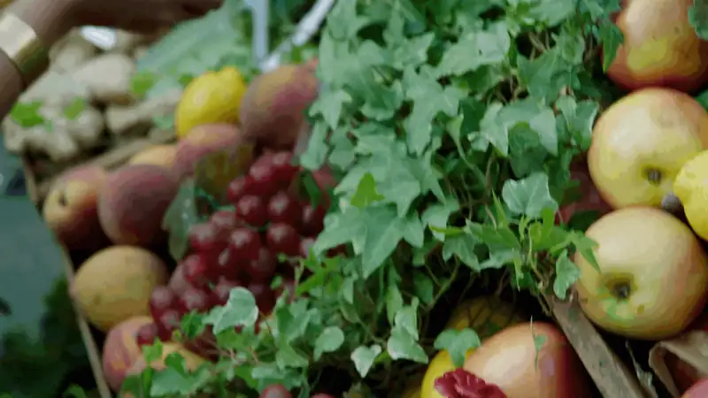 Fresh fruits and green ivy at a market stand with apples, grapes, and pears.