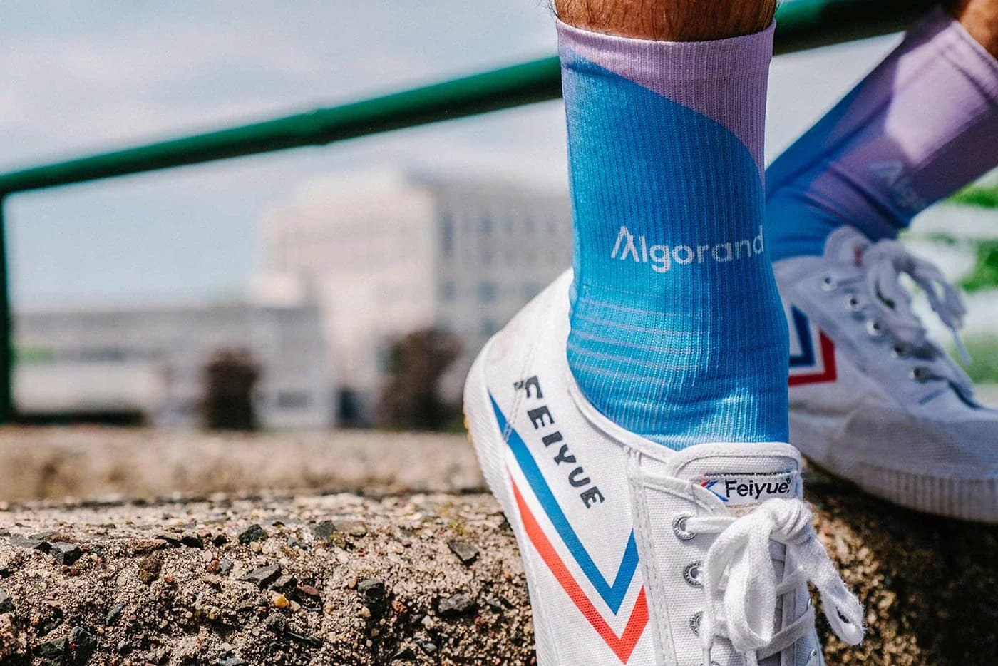 Close-up of a foot wearing Algorand socks and Feiyue shoes on a concrete surface.