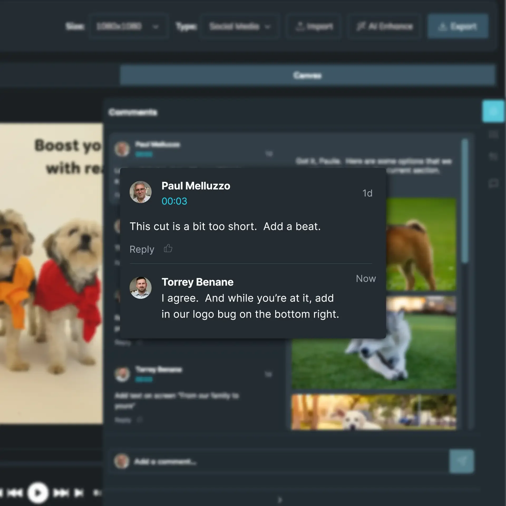 Comments on a video editing platform discussing a video with dogs.